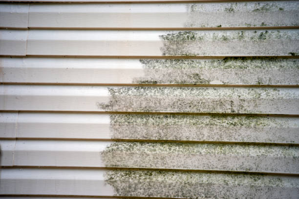 Payson, UT Siding Installation Pros
