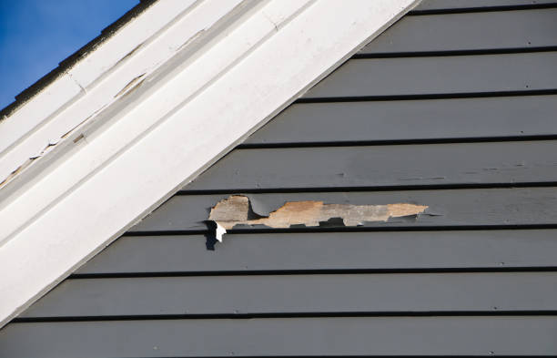 Best Custom Trim and Detailing for Siding  in Payson, UT
